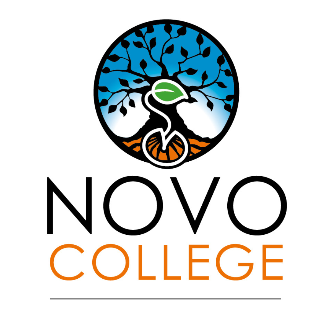 Logo NOVO COLLEGE